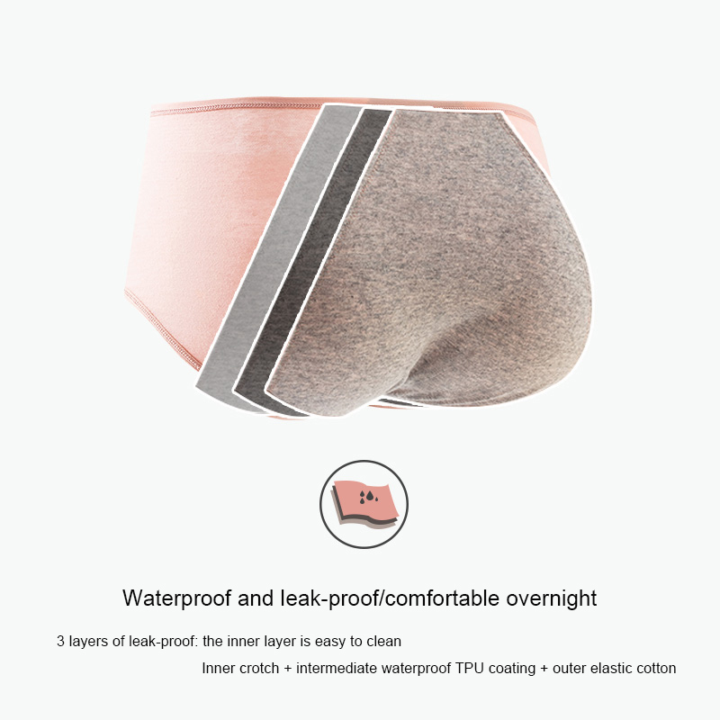 Cotton Menstrual Panties Leak  - đánh giá và giá Seamless Underwear Women