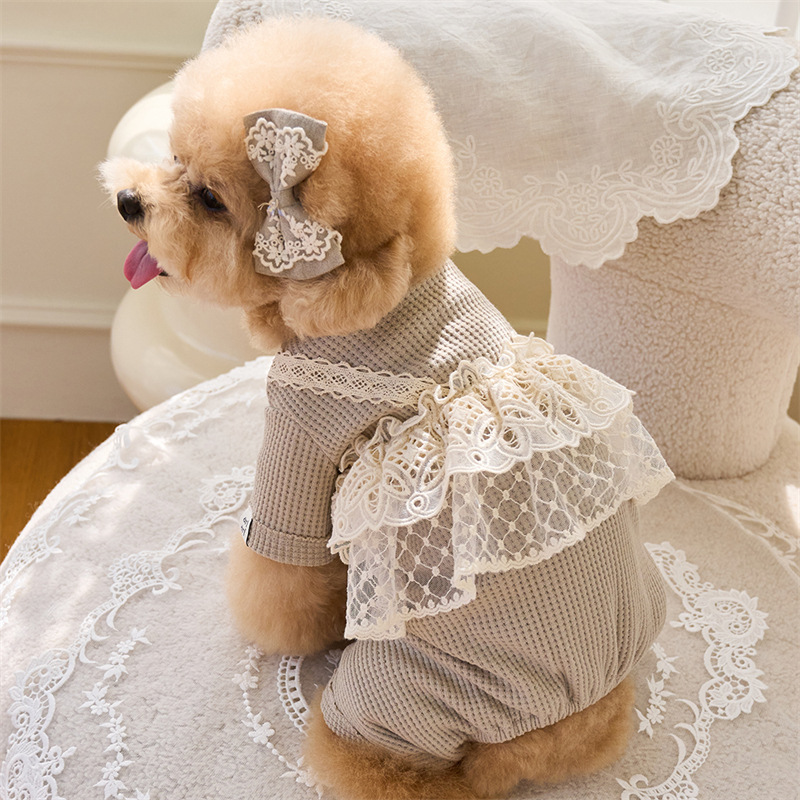 Pet Spring Jumpsuit Cute Lace  - đánh giá và giá Lace Teddy Lingerie