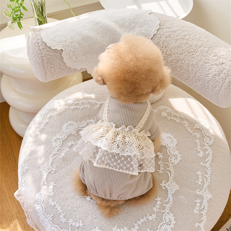 Pet Spring Jumpsuit Cute Lace  - đánh giá và giá Lace Teddy Lingerie