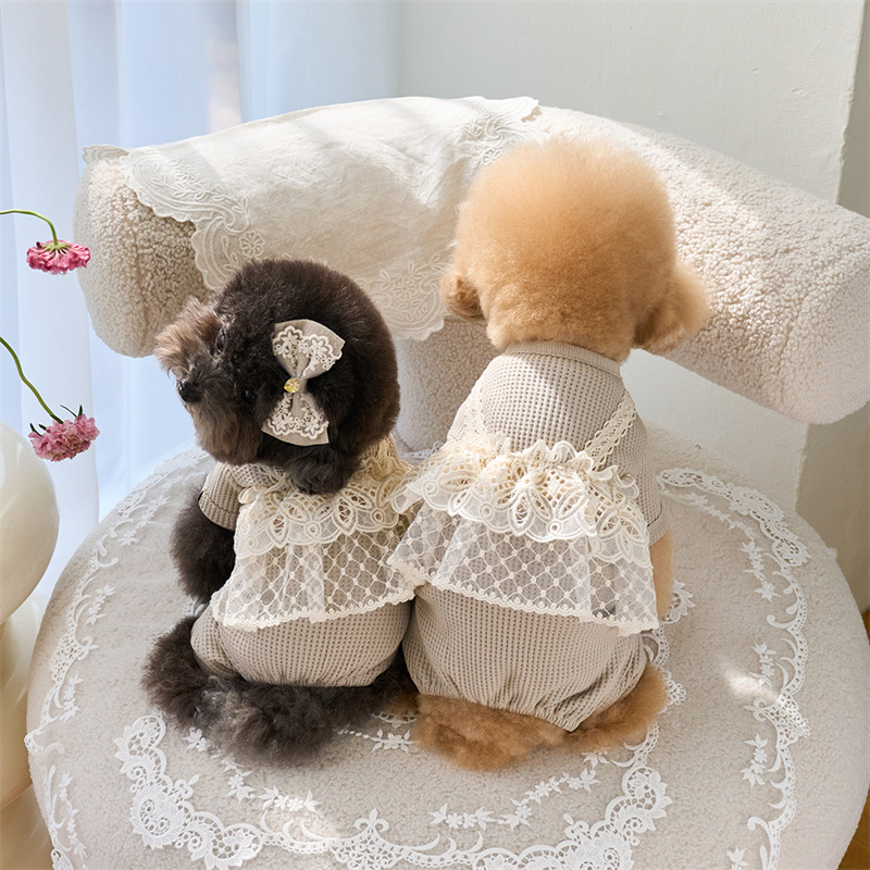 Pet Spring Jumpsuit Cute Lace  - đánh giá và giá Lace Teddy Lingerie
