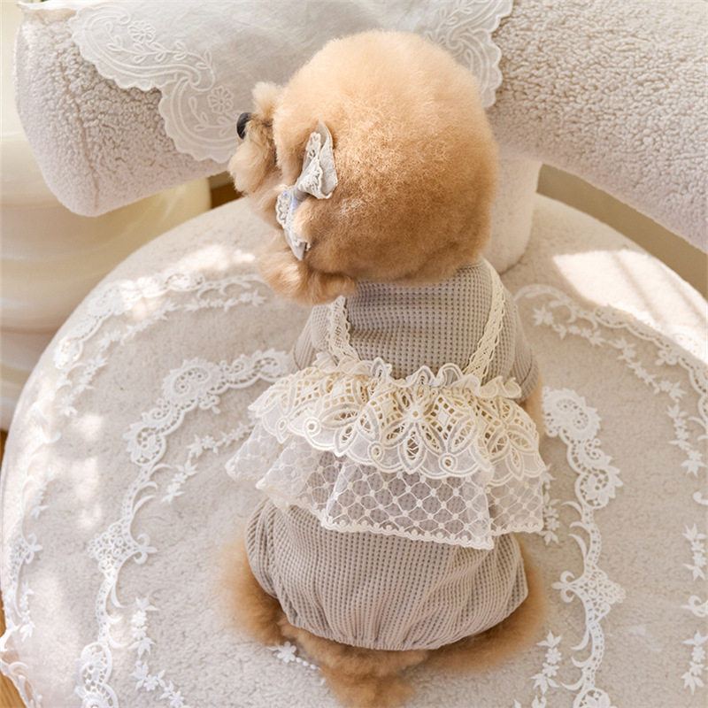 Pet Spring Jumpsuit Cute Lace  - đánh giá và giá Lace Teddy Lingerie