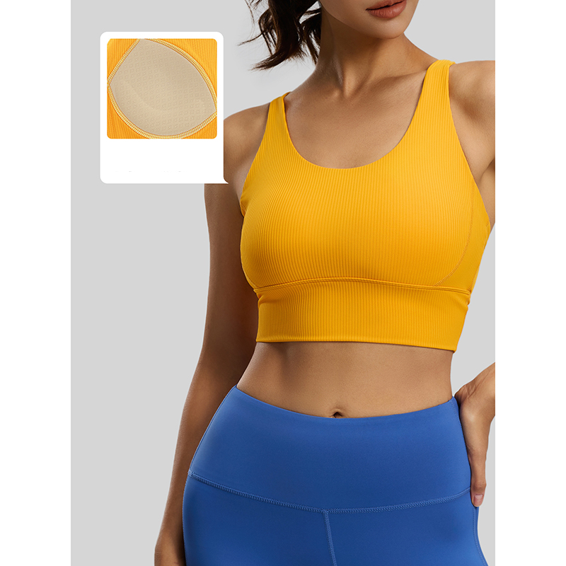 2026 New Women Ribbed High Imp - đánh giá và giá Sports Bra High Impact