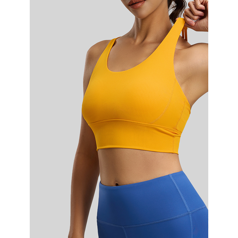 2026 New Women Ribbed High Imp - đánh giá và giá Sports Bra High Impact